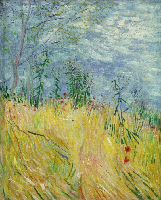 Edge of a Wheat Field with Poppies